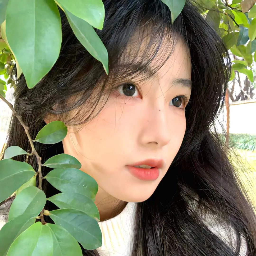吉屋藏娇